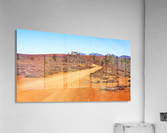 Track in the Outback Acrylic Print