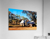 Old Wilpena Station  Acrylic Print