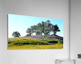 Barossa Valley in Spring Acrylic Print