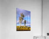 Storm Breaking 2 Acrylic Print
