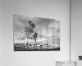 Storm Breaking - BW Acrylic Print
