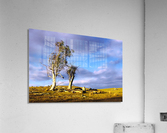 Storm Breaking Acrylic Print