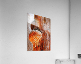 Aussie Alpine Tree Bark 2 Acrylic Print