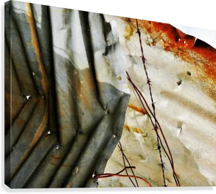 Corrugated Iron Series 19 Canvas Print
