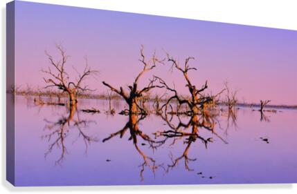 Twin Reflections - Pamamaroo Lake Canvas Print