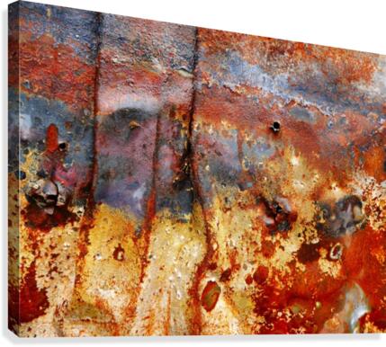 Corrugated Iron Series 14 Canvas Print