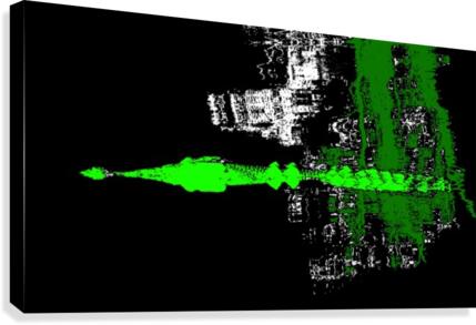 Lurking at Night Canvas Print