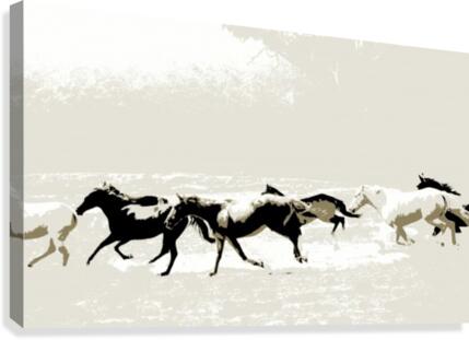 Breakaways - High Country Canvas Print