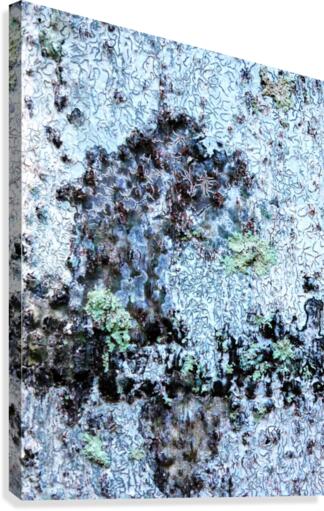 Aussie Gum Tree Bark - 11 Canvas Print
