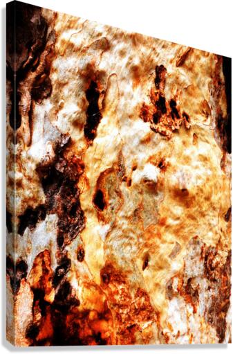 Aussie Gum Tree Bark - 19 Canvas Print