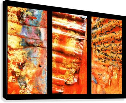 Corrugated Iron Triptych 1 Canvas Print