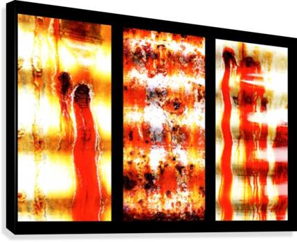 Corrugated Iron Triptych 2 Canvas Print