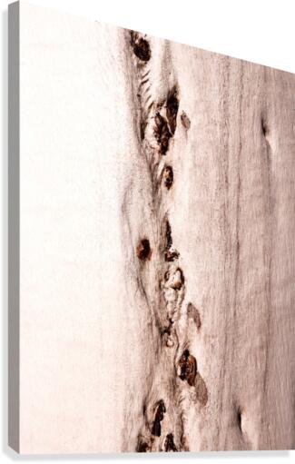 Ghost Gum Bark - 8 Canvas Print