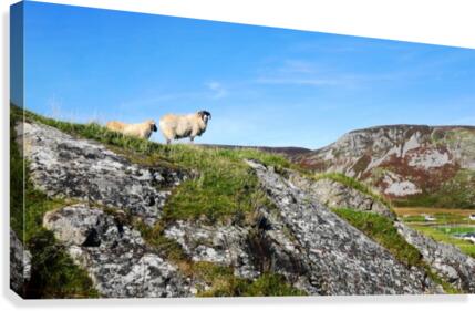 Looking to Beefan Mountain Canvas Print