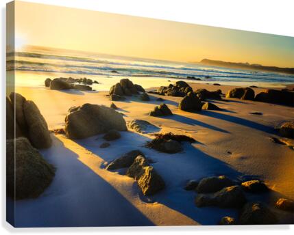 First Light - Friendly Beaches - Tasmania Canvas Print
