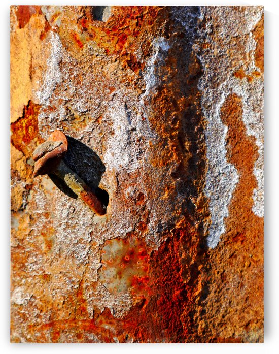 Corrugated Iron Series 4 by Lexa Harpell