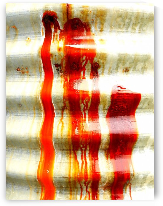 Corrugated Iron Series 1 by Lexa Harpell