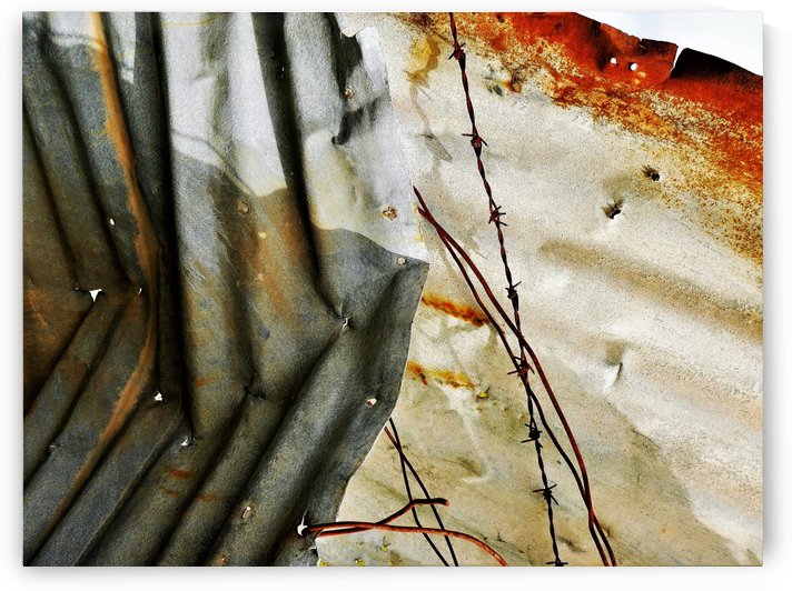 Corrugated Iron Series 19 by Lexa Harpell