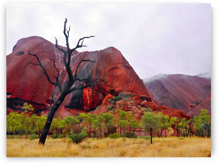 After the Rain - Uluru Australia by Lexa Harpell