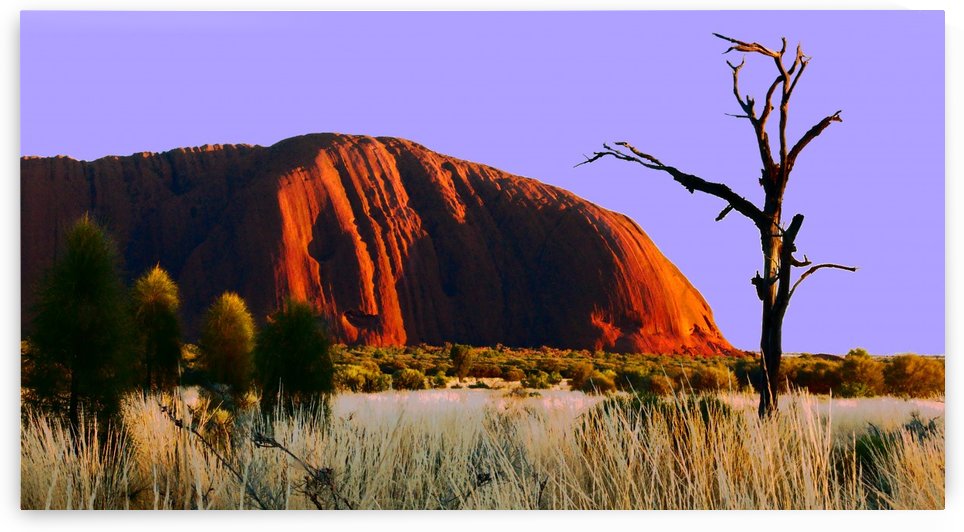 Sunrise on Uluru - Australia 2 by Lexa Harpell