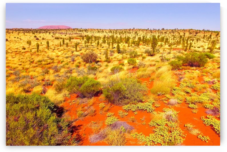 Dune Landscape - Central Australia by Lexa Harpell