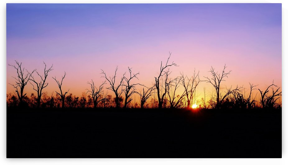 Sunset Silhouette by Lexa Harpell