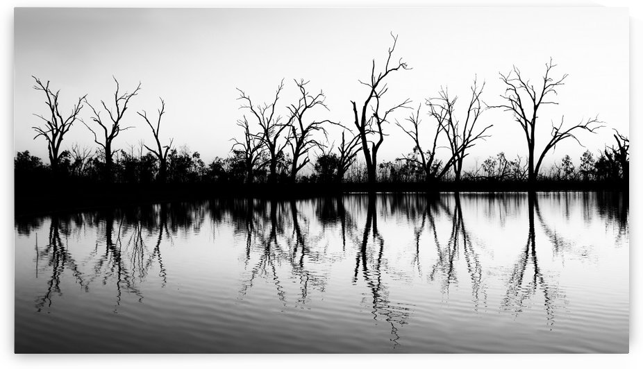 B W Lake Sunset 2 by Lexa Harpell