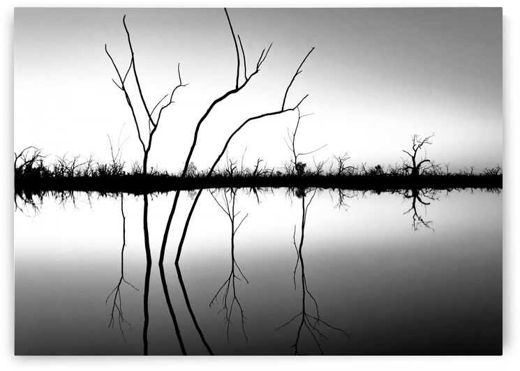 Sunset Reflections B W by Lexa Harpell