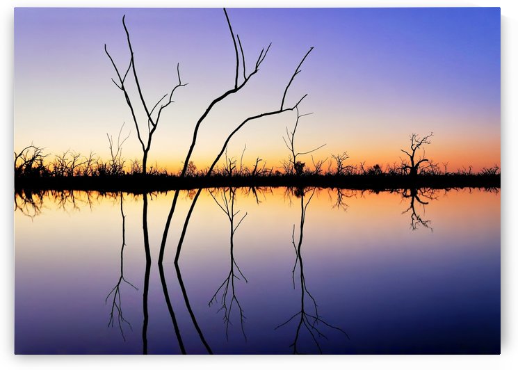 Sunset Reflections by Lexa Harpell