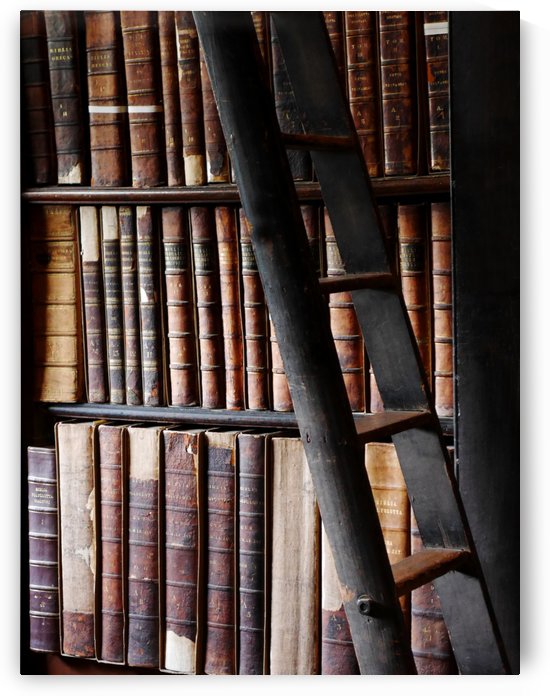 Books of Knowledge 2 by Lexa Harpell
