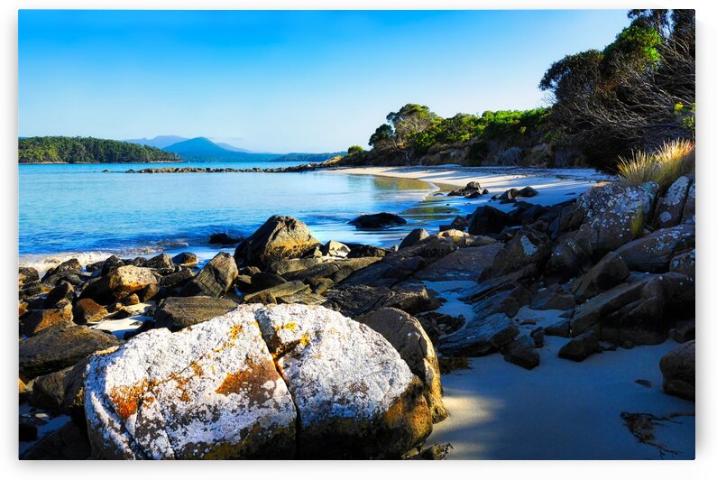 Morning Sun at Fishers Point by Lexa Harpell