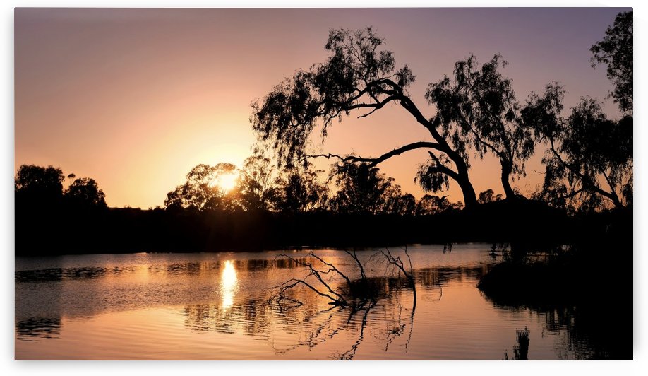 Pink Sunrise on the Murray by Lexa Harpell