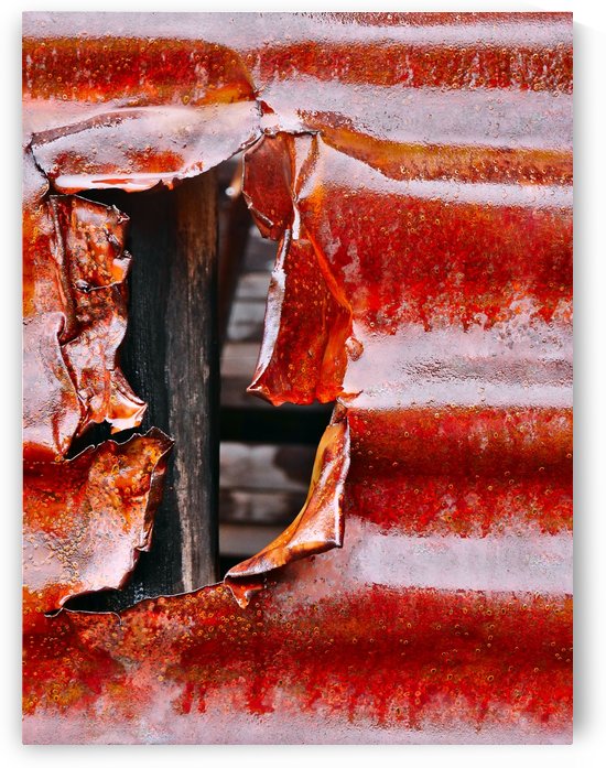 Corrugated Iron Series 12 by Lexa Harpell