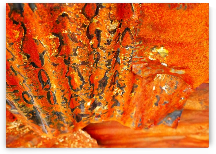 Corrugated Iron Series 6 by Lexa Harpell