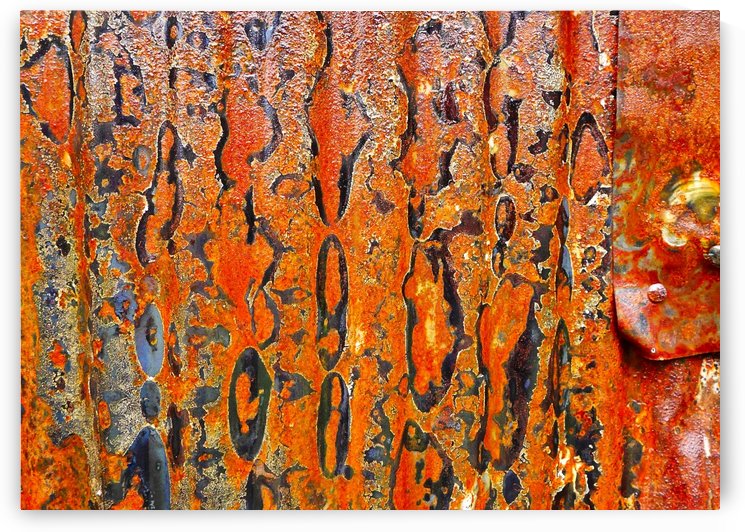 Corrugated Iron Series 8 by Lexa Harpell