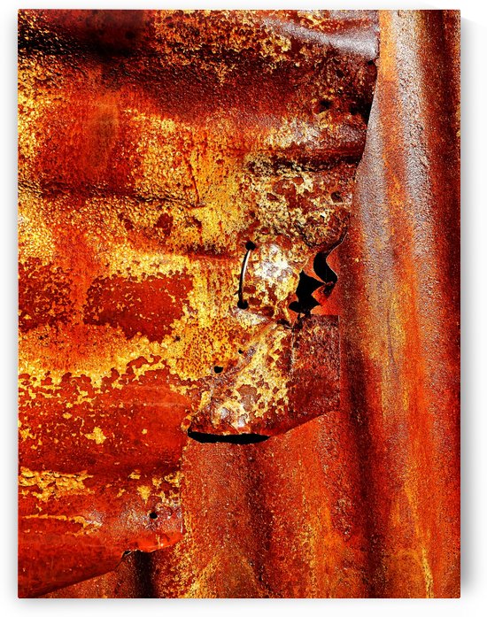 Corrugated Iron Series 7 by Lexa Harpell