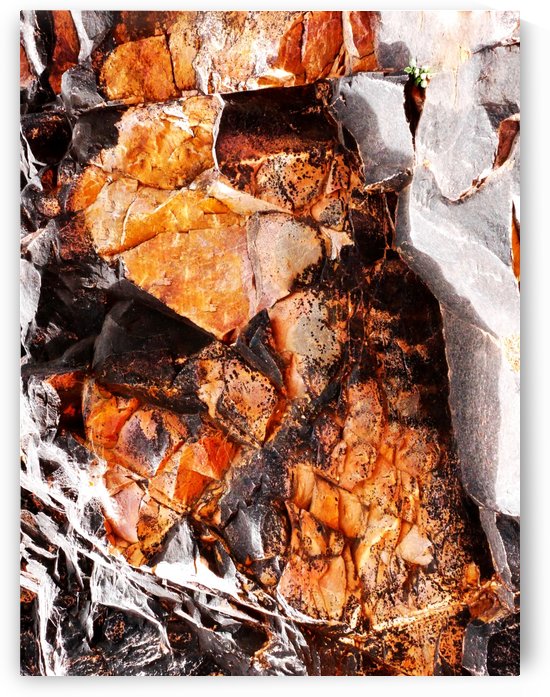 Australia Rocks - Abstract 20 by Lexa Harpell