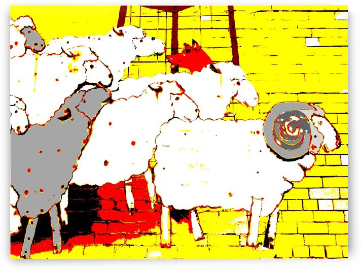 Cattle Dog and Sheep - Yellow by Lexa Harpell