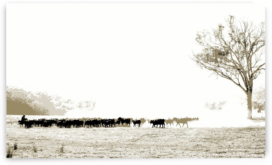 Driving the Mob - High Country by Lexa Harpell