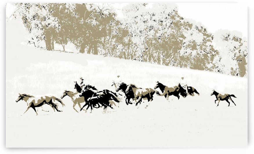 Chasing the Mob - High Country by Lexa Harpell