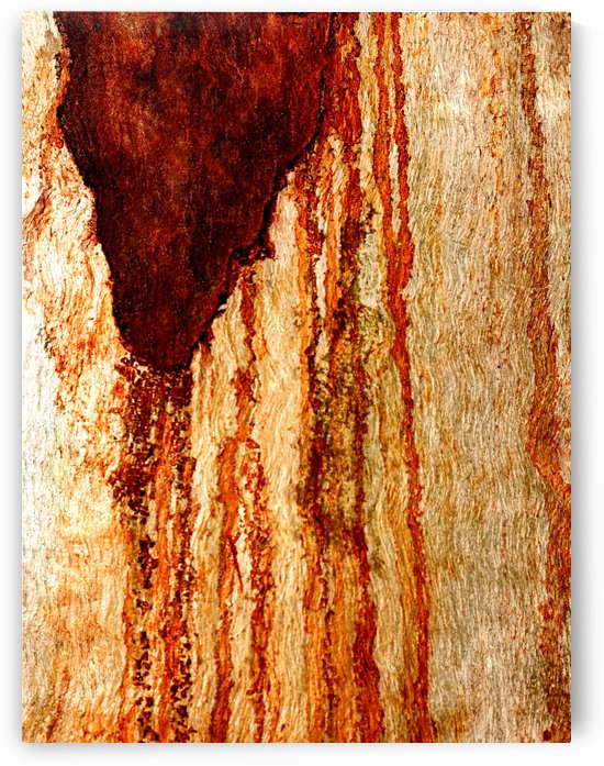 Murray Gum Tree Bark 7 by Lexa Harpell