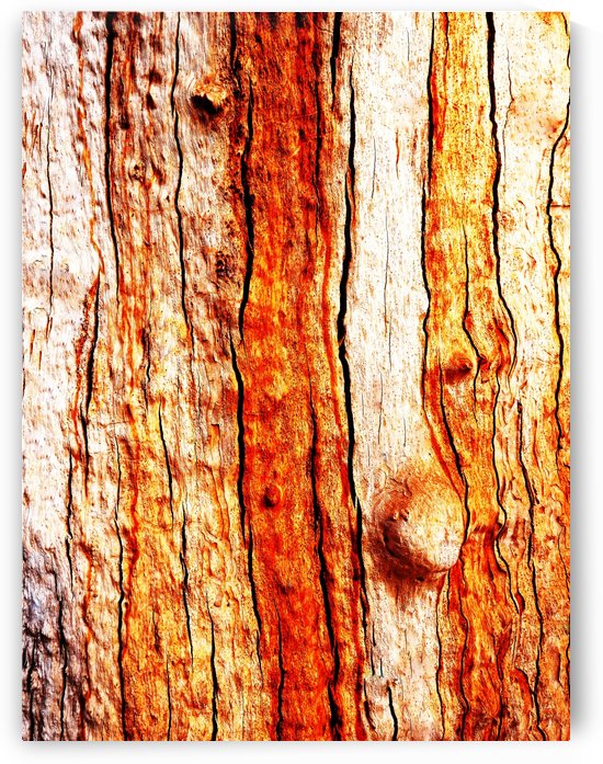 Murray Gum Tree Bark 12 by Lexa Harpell