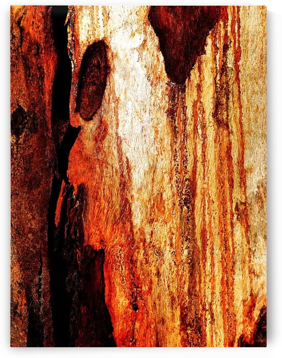 Murray Gum Tree Bark 16 by Lexa Harpell
