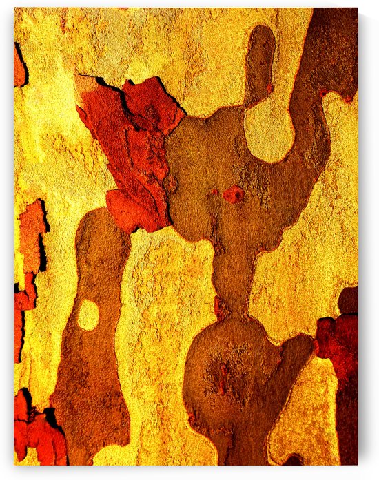Aussie Gum Tree Bark - 21 by Lexa Harpell