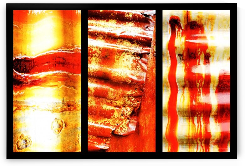 Corrugated Iron Triptych 3 by Lexa Harpell