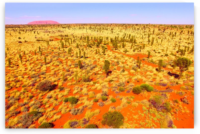 Dunes Aerial  - to Uluru by Lexa Harpell
