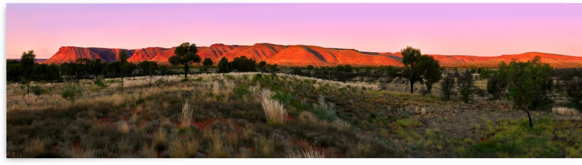 Last Rays - Kings Canyon by Lexa Harpell