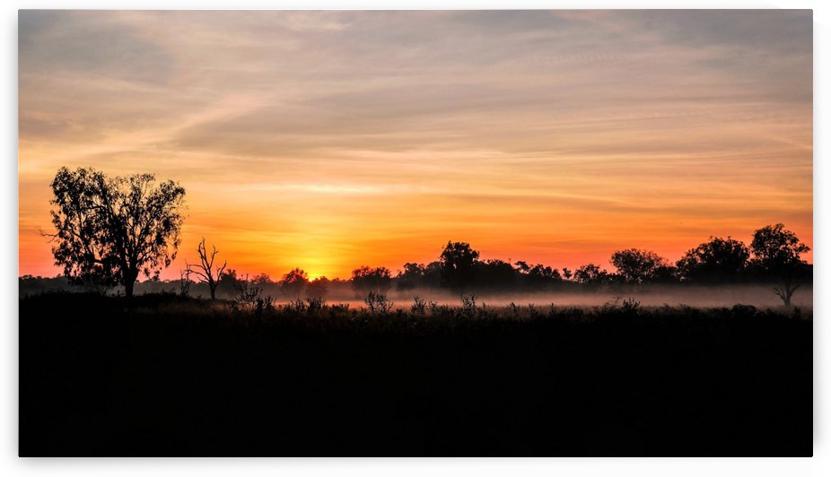 Winter Sunrise in the Outback by Lexa Harpell