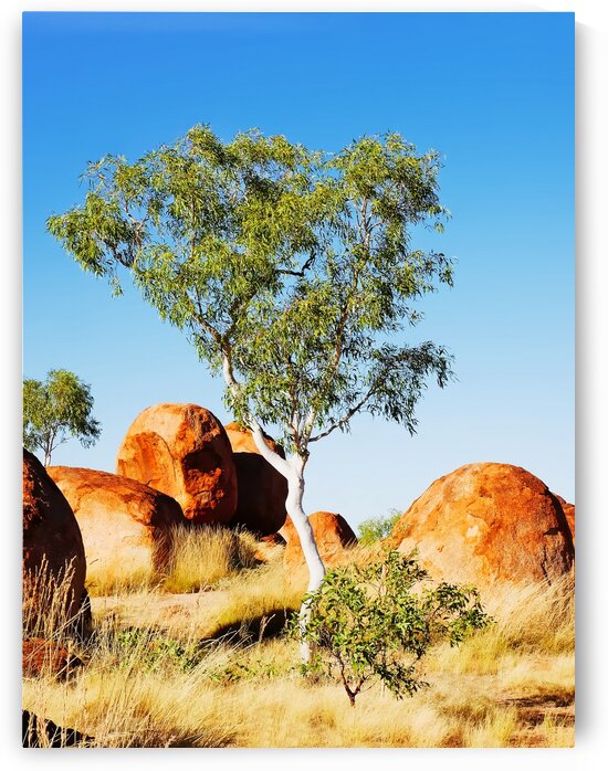 Landscape - Devils Marbles by Lexa Harpell