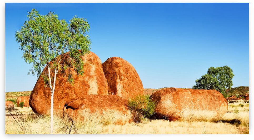 Lone Tree - Devils Marbles by Lexa Harpell